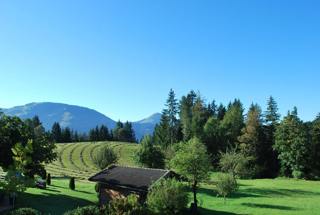 שפאו אם ווילדן קייזר Berggasthof Baernstatt מראה חיצוני תמונה